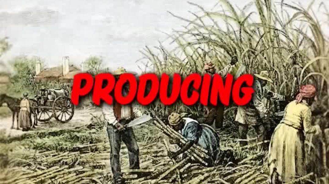 The Slave Breeder! The story of Pata Seca